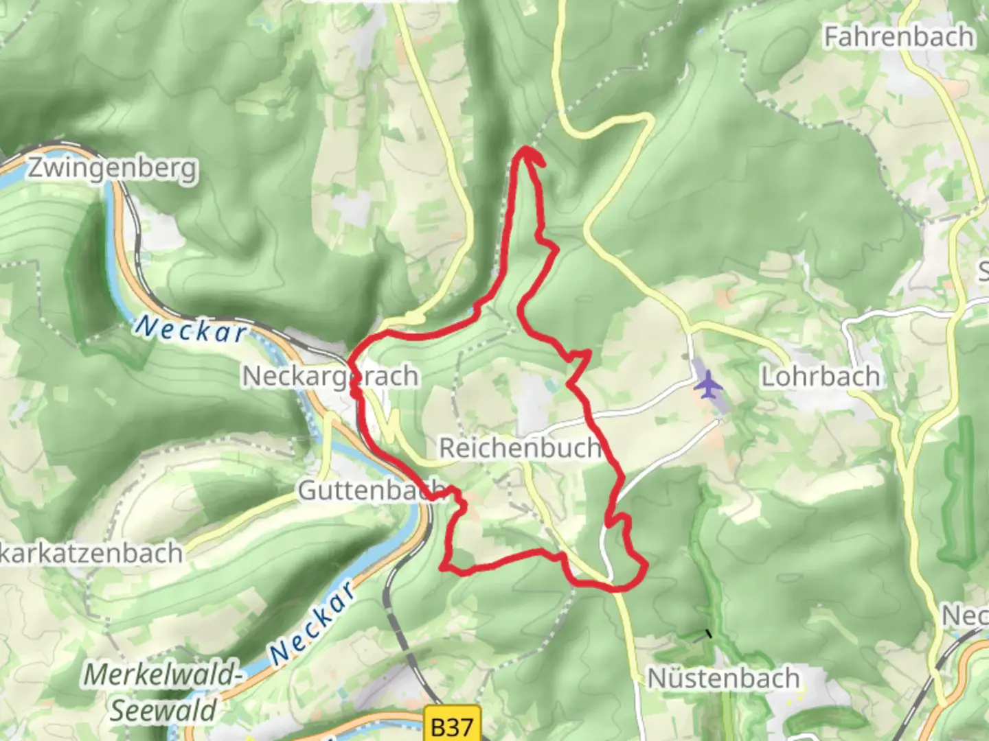 An image depicting the trail Neckargerach Loop and its surrounding area.