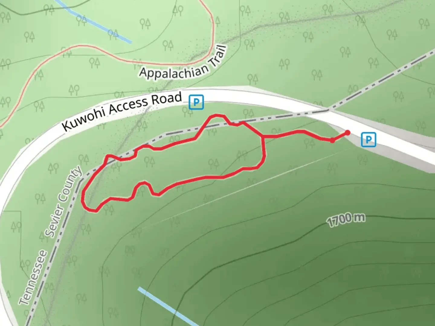 An image depicting the trail Spruce - Fir Nature Trail and its surrounding area.