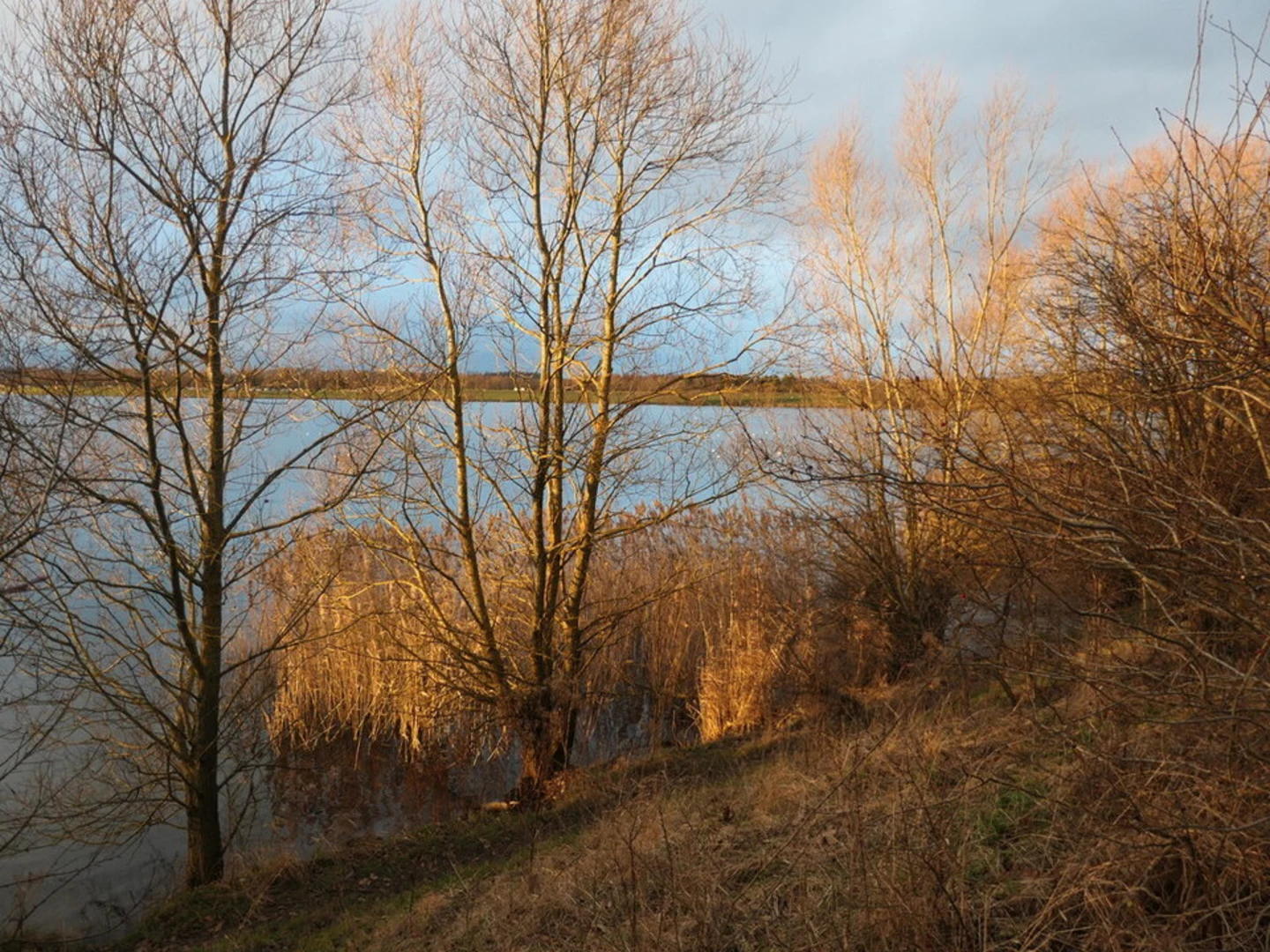 An image depicting the trail Pugneys Country Park Loop and its surrounding area.