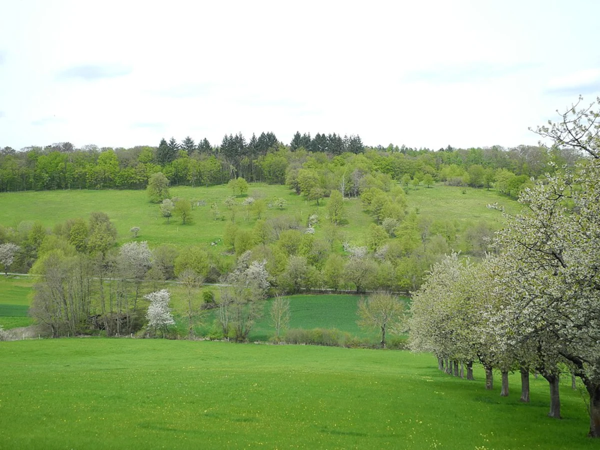 Rebbes Loop via Rundweg