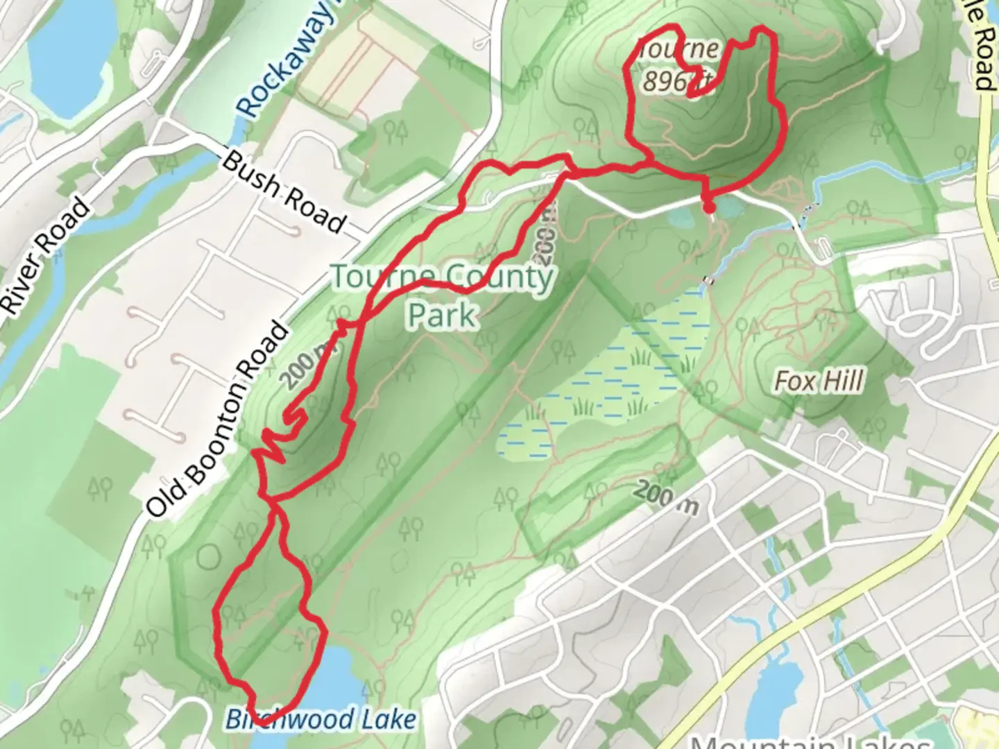 An image depicting the trail Birchwood Lake and Tourne via Red and Purple Trail and its surrounding area.