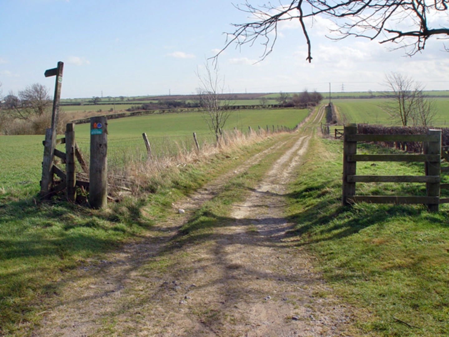 An image depicting the trail Old Moor, Folly Wood and Walkington Park Loop and its surrounding area.