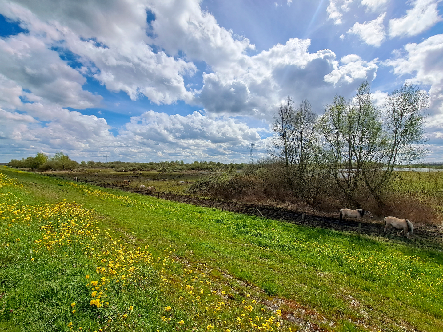 An image depicting the trail Goeree - Overflakkee Island Loop and its surrounding area.
