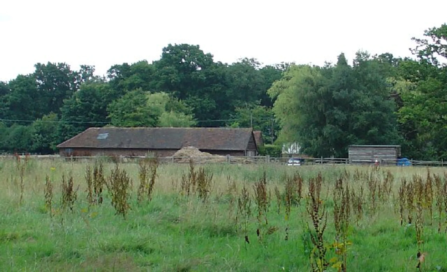 An image depicting the trail Staplefield and Ditton Place Loop and its surrounding area.