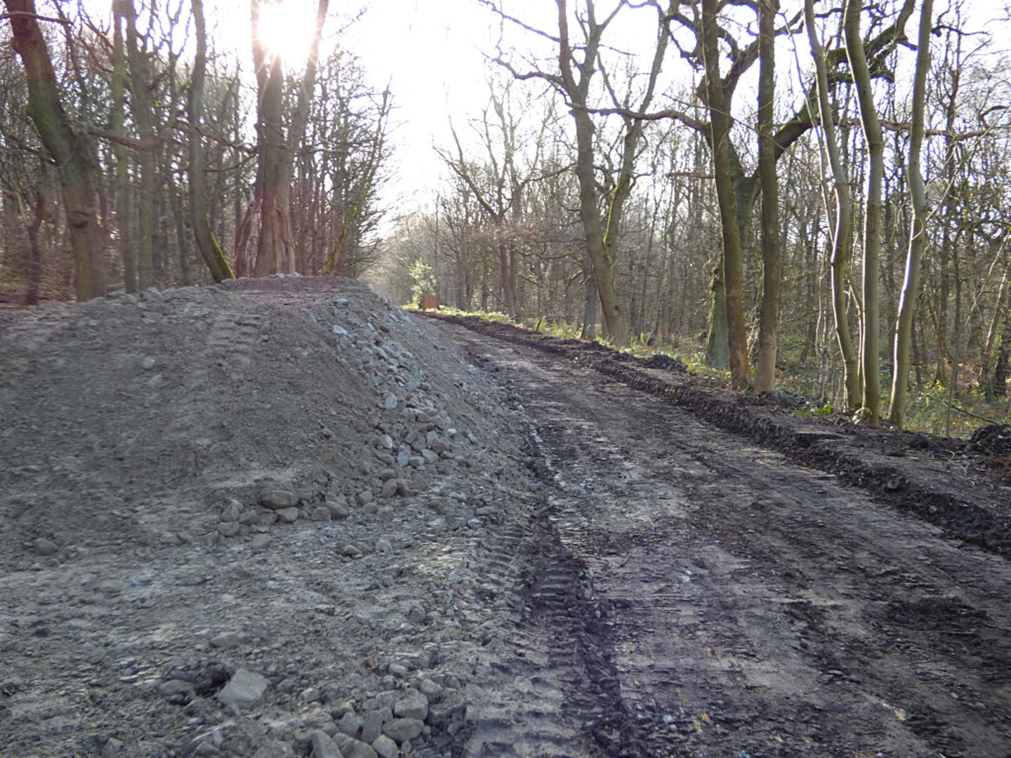 An image depicting the trail River Wharfe, Crabtree Gill and Stubham Wood Loop and its surrounding area.
