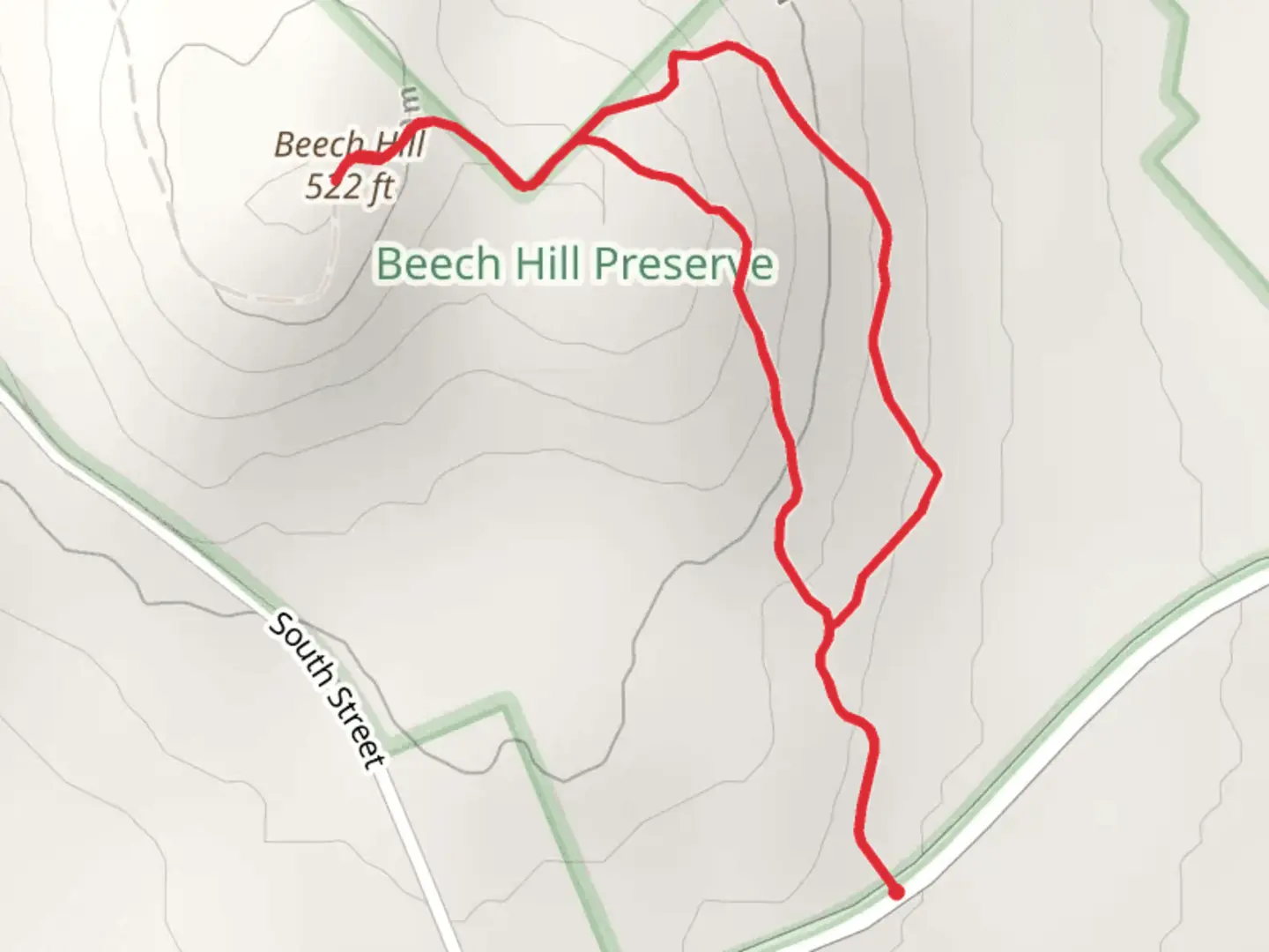 An image depicting the trail Beech Hill Loop and its surrounding area.