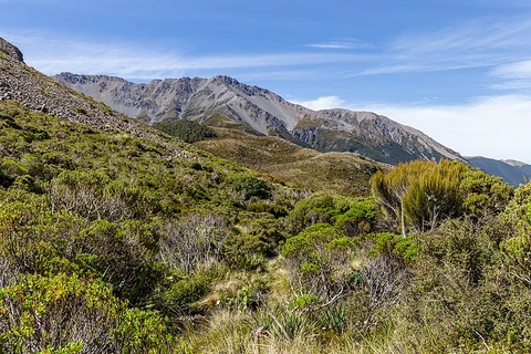 Edwards - Hawdon Route