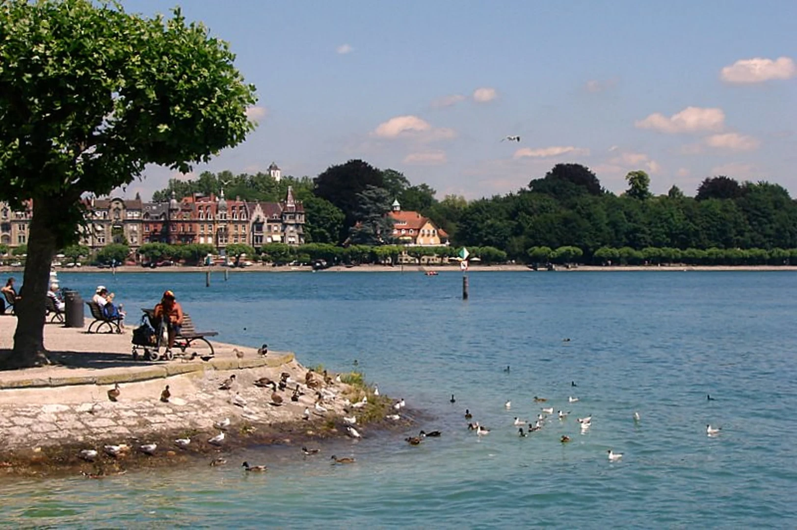 An image depicting the trail Camino Konstanz-Geneva and its surrounding area.