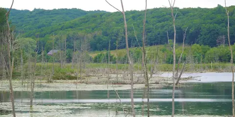 An image depicting the trail High Country Pathway and its surrounding area.