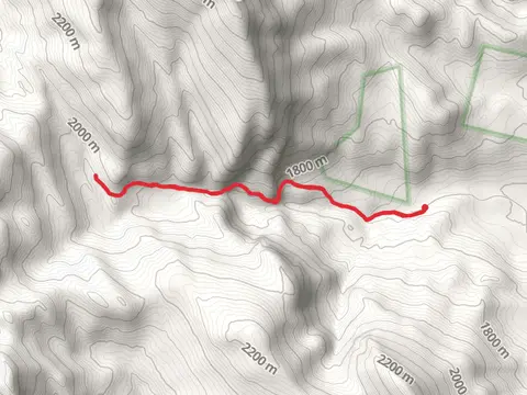 Willow Creek from Augusta Ranger Station Road