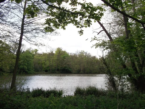 An image depicting the trail Hurst Green to Woldingham Walk and its surrounding area.