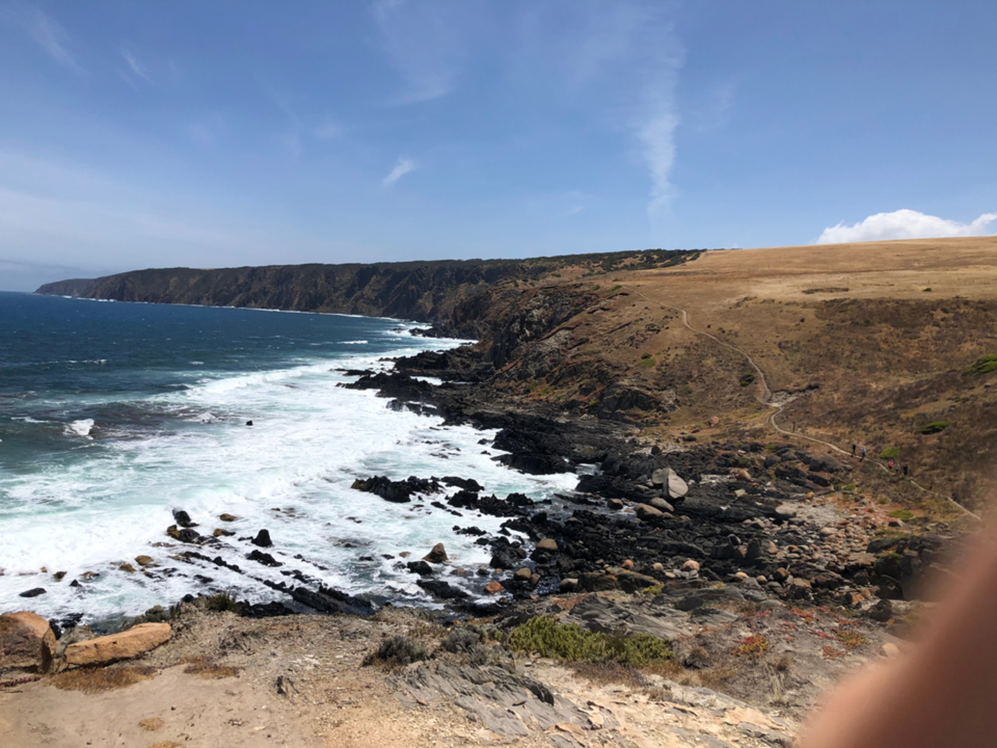 An image depicting the trail Boat Harbor Circuit and its surrounding area.