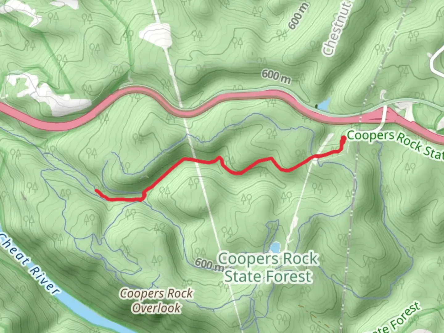 An image depicting the trail Advanced Ski Trail and Mont Chateau Trail - North Walk and its surrounding area.