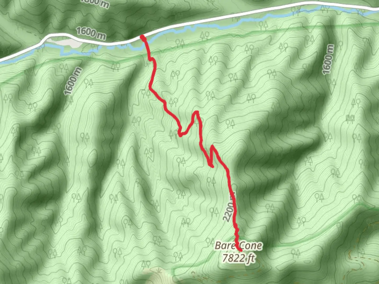 An image depicting the trail Bare Cone Trail and its surrounding area.