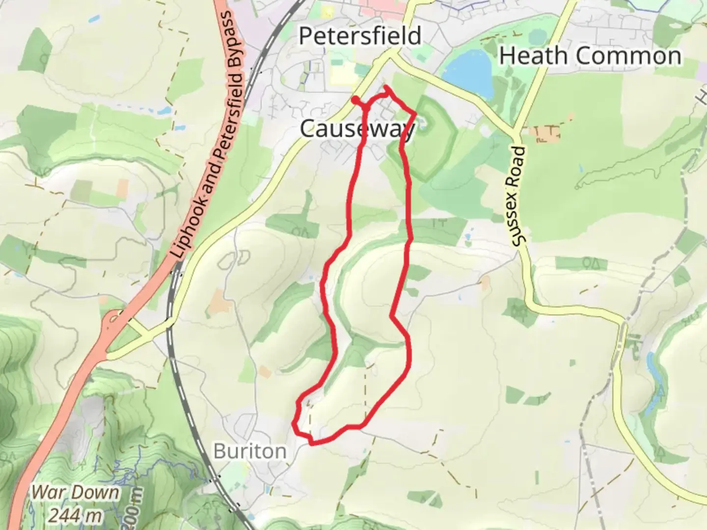 An image depicting the trail Petersfield Wood Loop and its surrounding area.