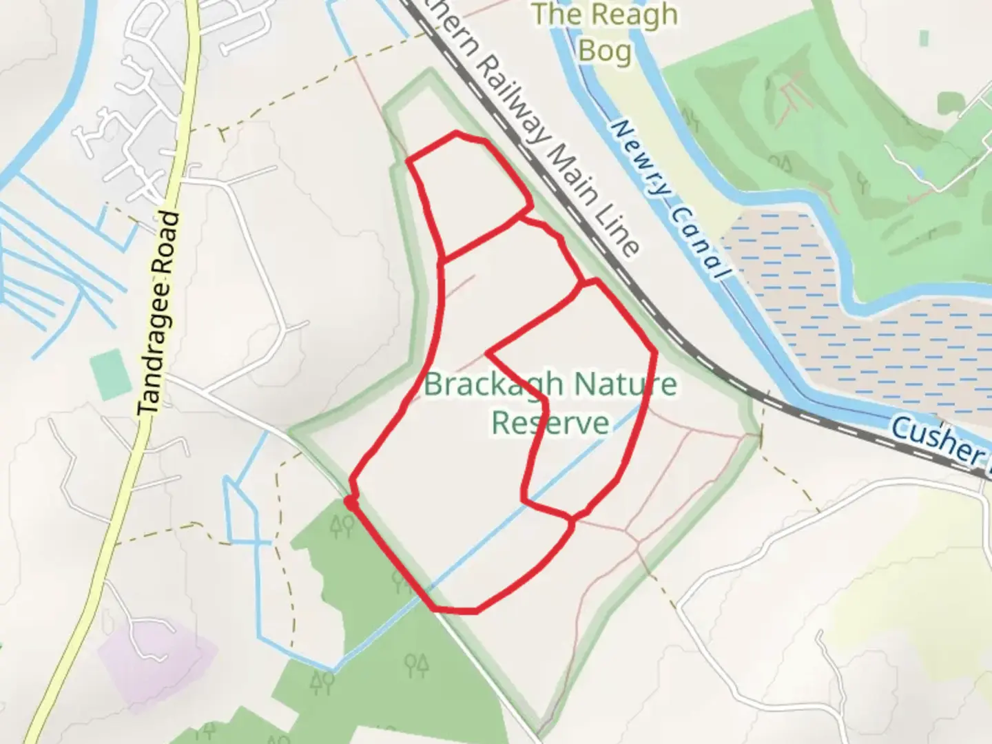 An image depicting the trail Brackagh Bog Loop and its surrounding area.