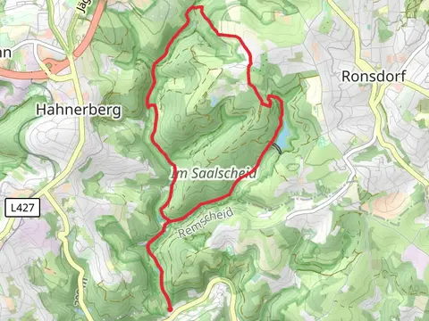 Gelpe-Saalbach and Im Saalscheid Loop via Wuppertaler Rundweg
