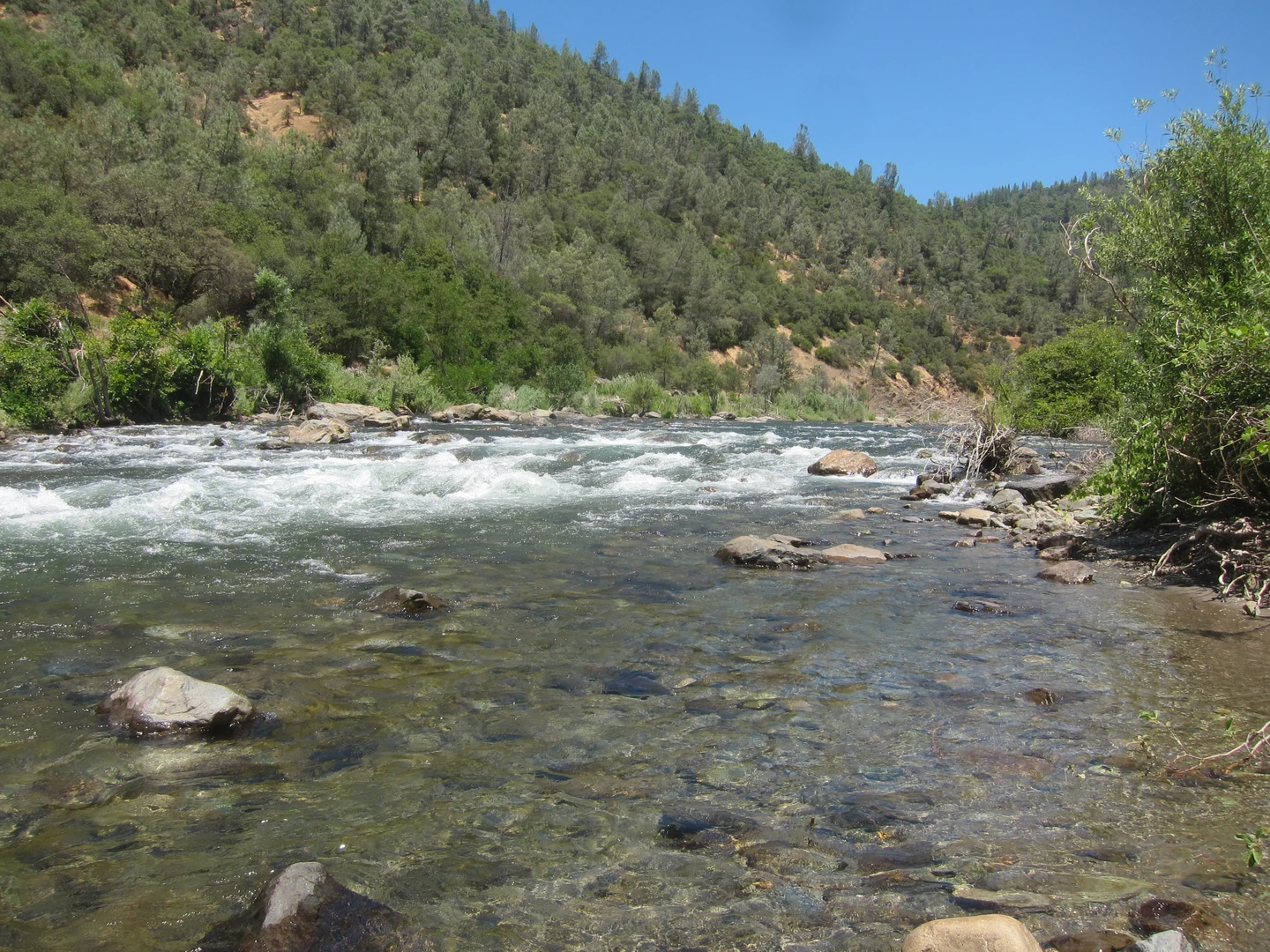 An image depicting the trail Middle Fork American River and its surrounding area.