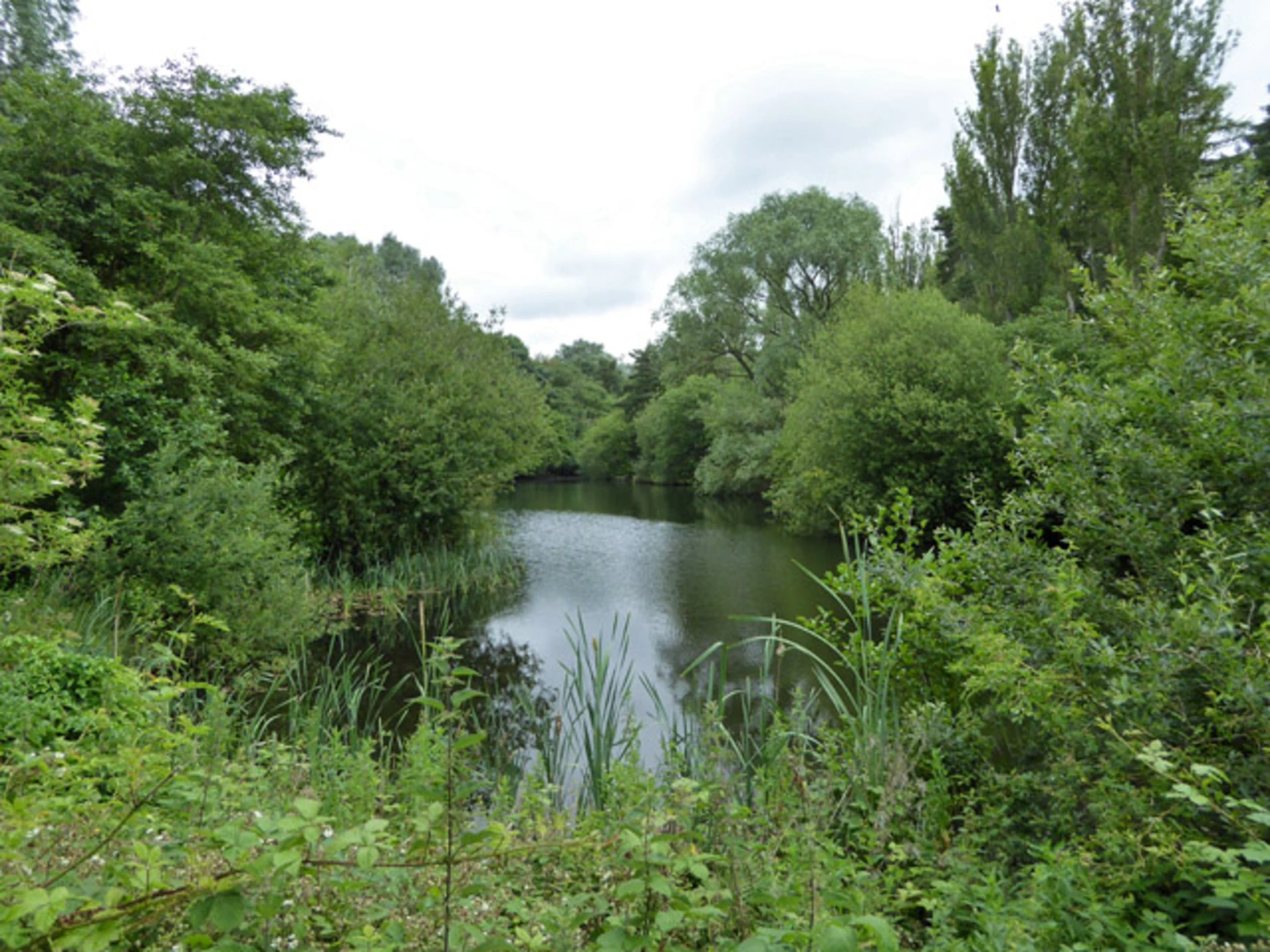 An image depicting the trail Ufton Fields Loop and its surrounding area.