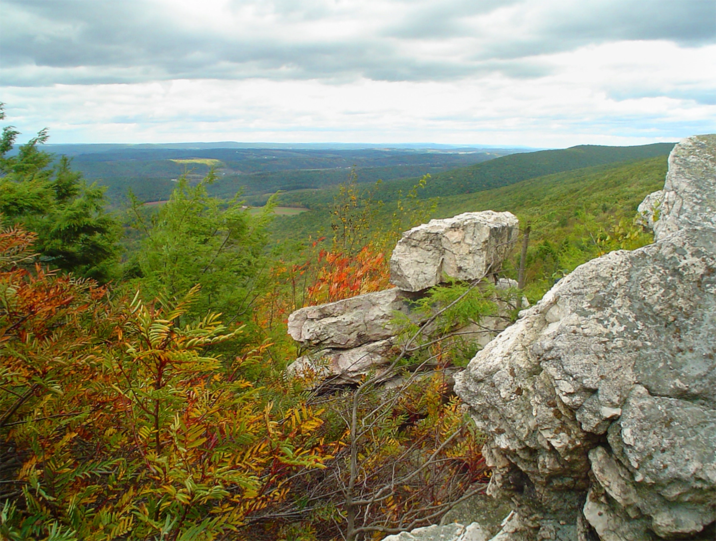 An image depicting the trail Pinnacle Mountain Trail and its surrounding area.