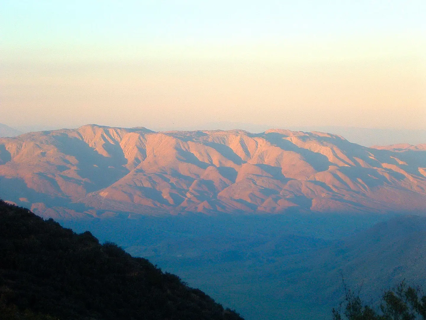 An image depicting the trail Whale Peak Trail and its surrounding area.