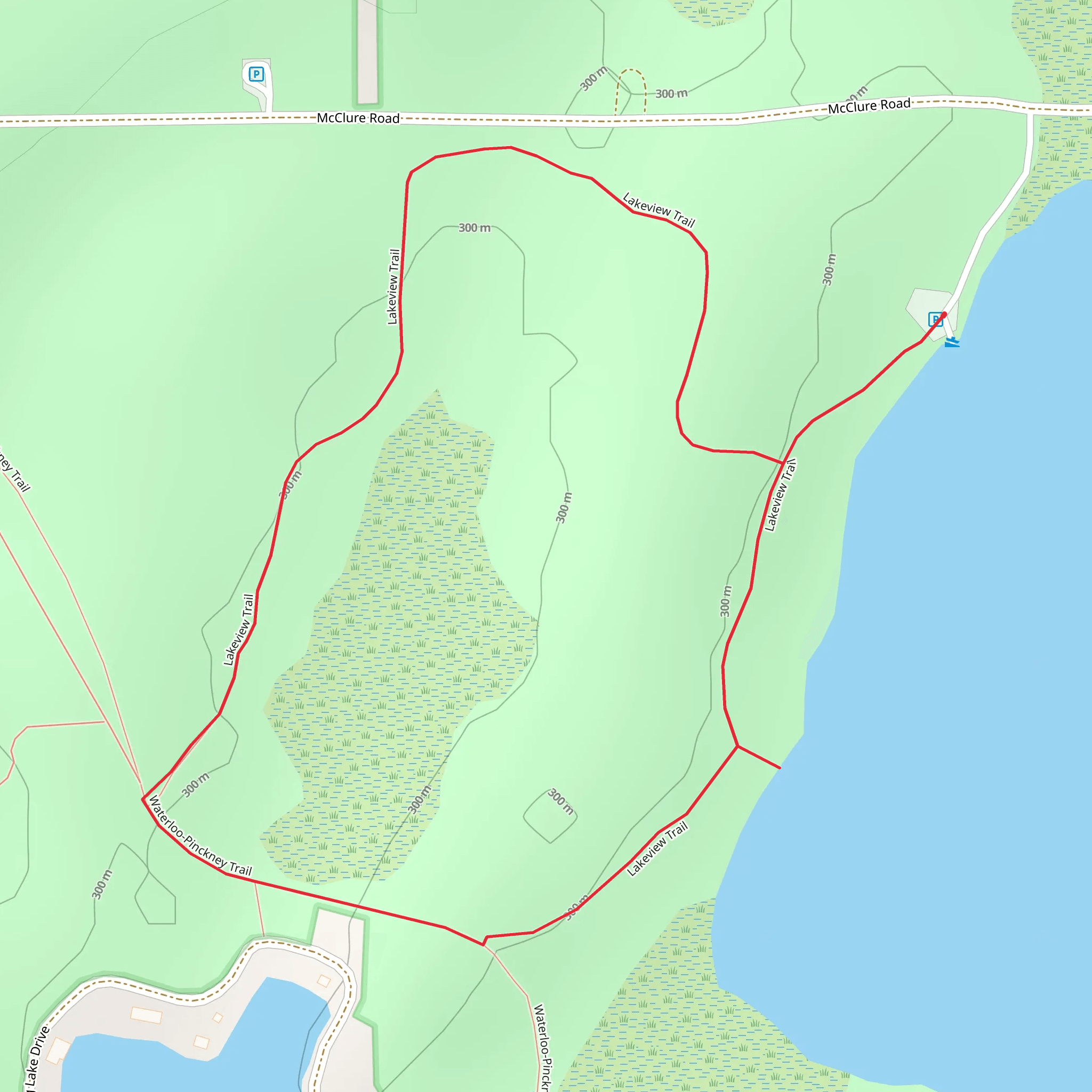 Lakeview Loop Trail - Mill Lake mobile static map