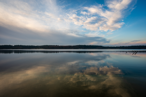 Boswachterij Gieten Borger Loop