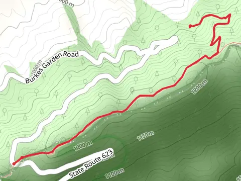 Davis Path Side Trail via Appalachian Trail