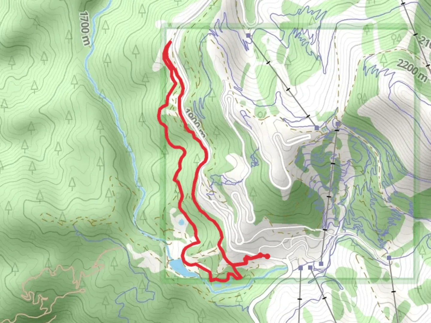 An image depicting the trail Bogus Creek Loop and its surrounding area.