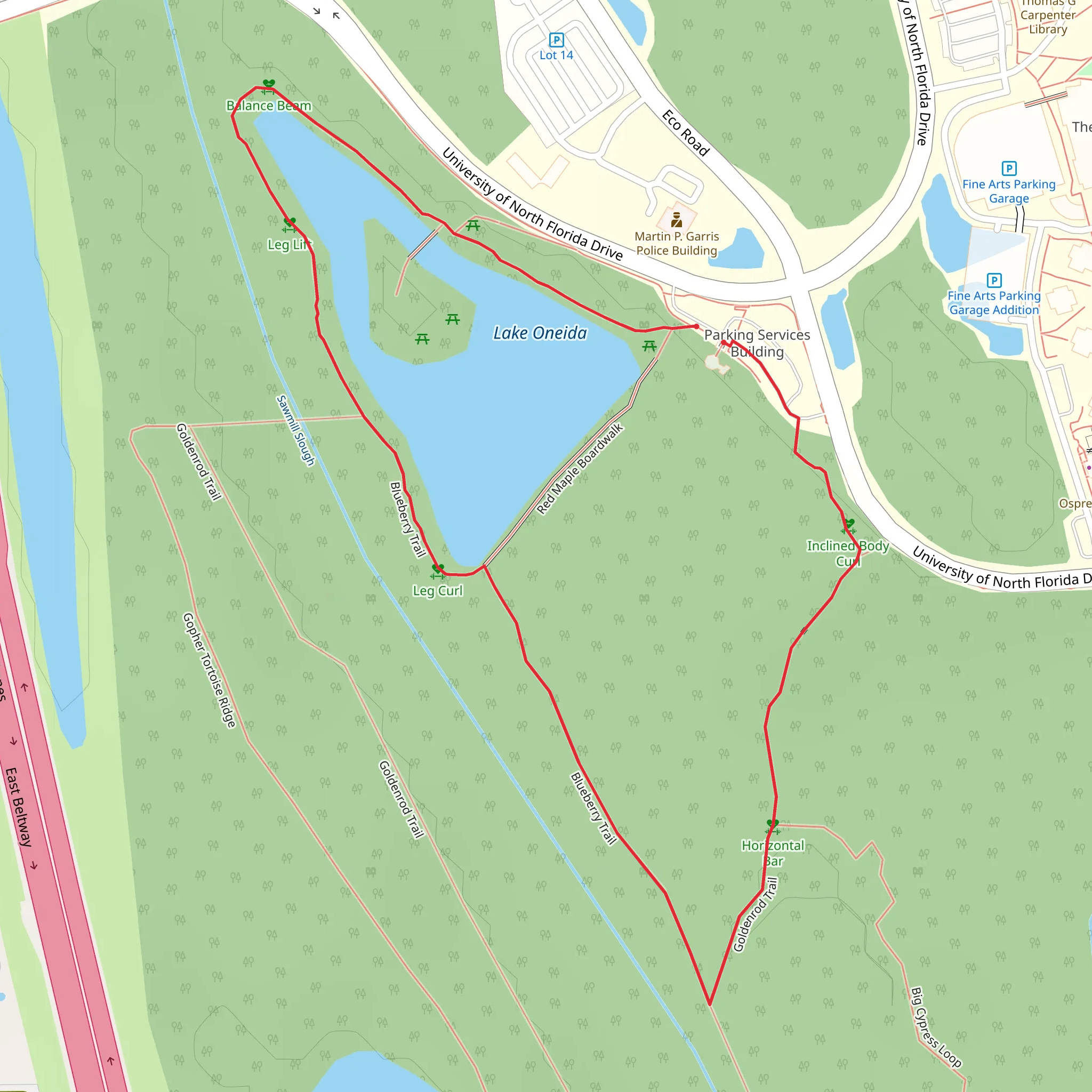 LAke Oneida via Blueberry Trail and Goldenrod Trail mobile static map