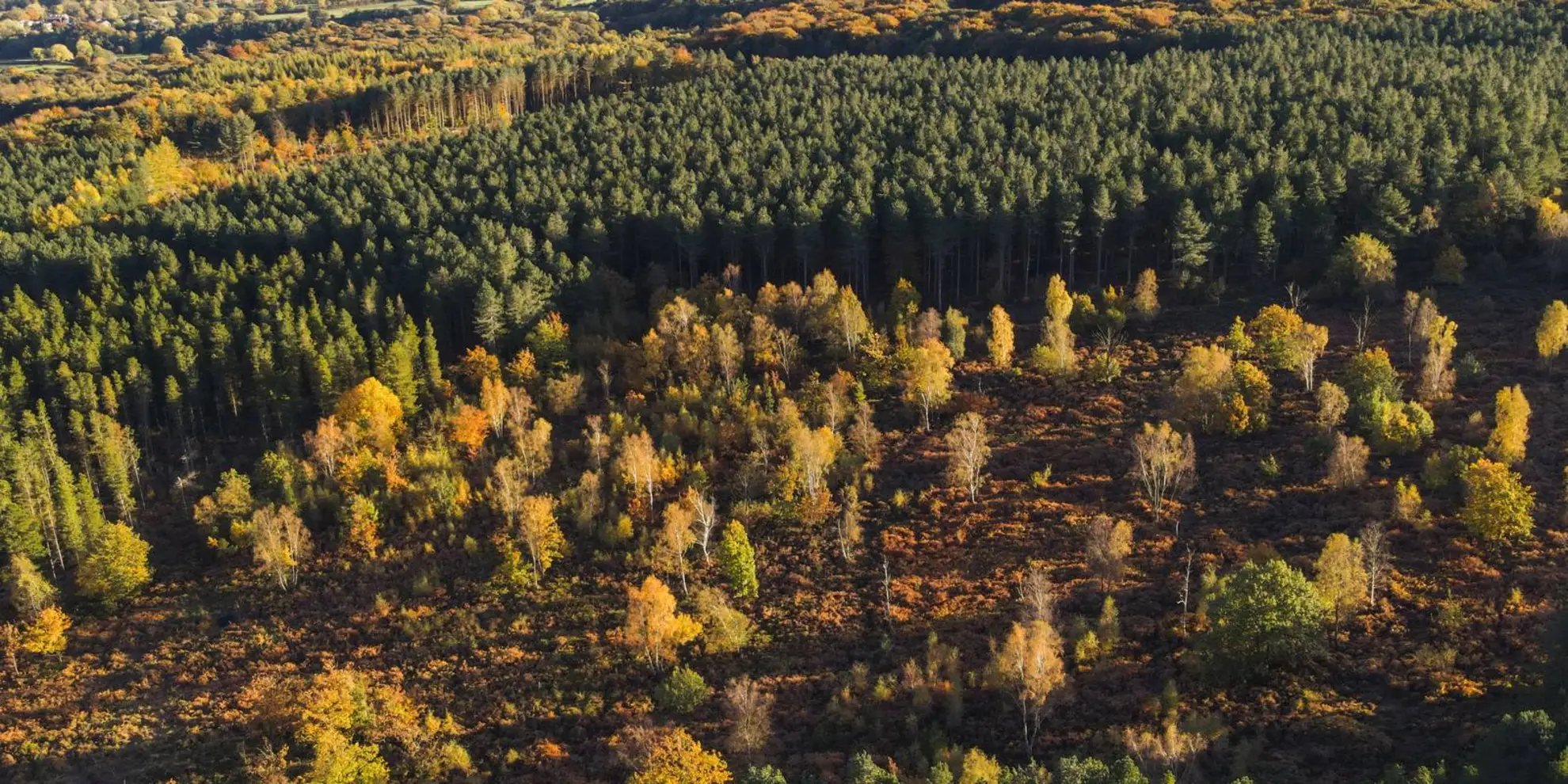 An image depicting the trail Grenoside - Greno Wood - Wharncliffe Wood and Whalejaw Hill and its surrounding area.