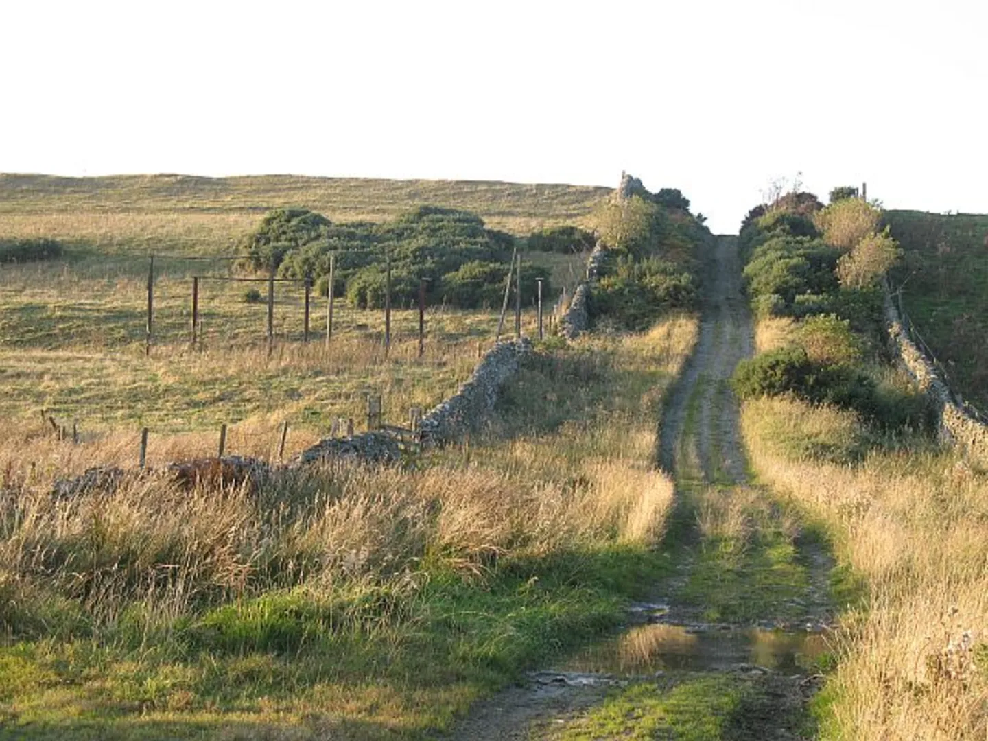 An image depicting the trail Cross Borders Drove Road and its surrounding area.