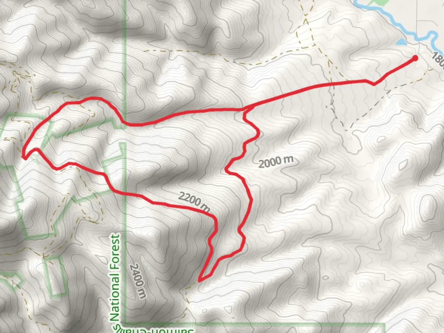 An image depicting the trail Bullion Gulch Loop and its surrounding area.