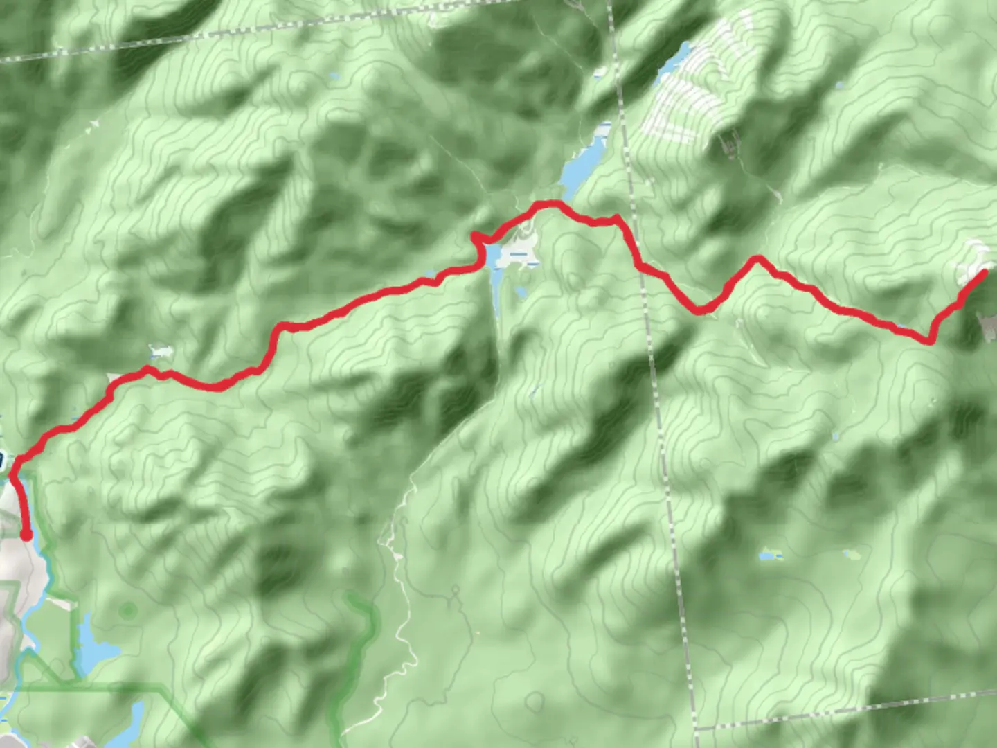 An image depicting the trail Gray Peak via Calamity Brook Trail and its surrounding area.