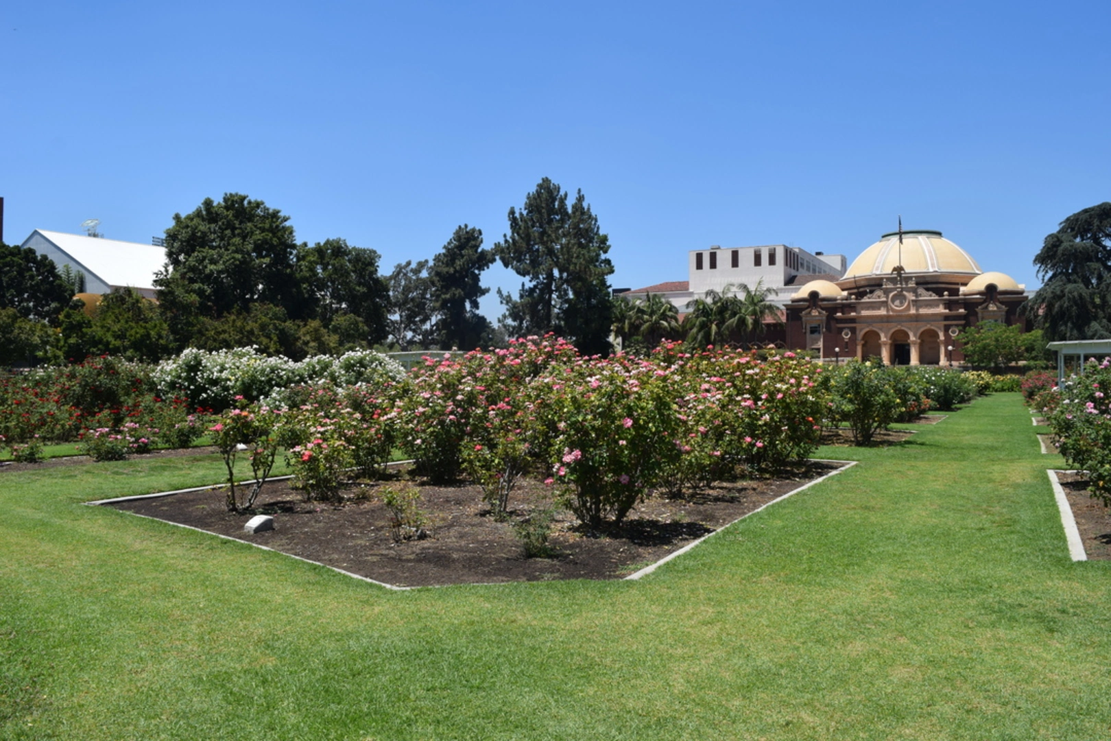 An image depicting the trail Exposition Park Rose Garden Loop and its surrounding area.