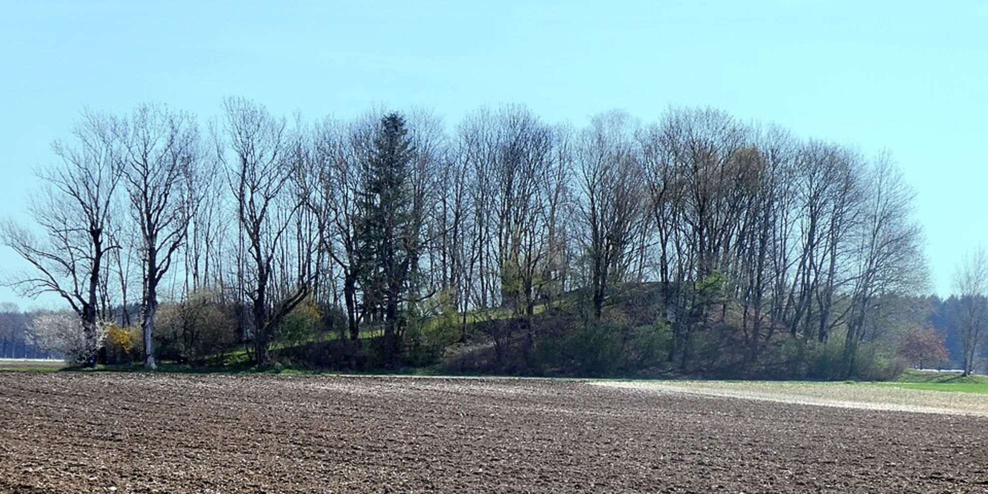 An image depicting the trail Gde Hoehenkirchen Loop and its surrounding area.