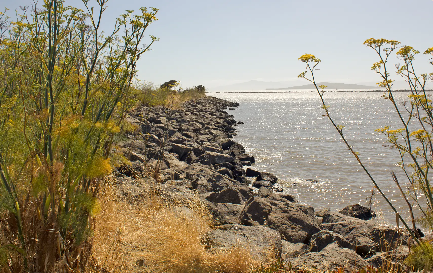 An image depicting the trail North Point Isabel Loop and its surrounding area.
