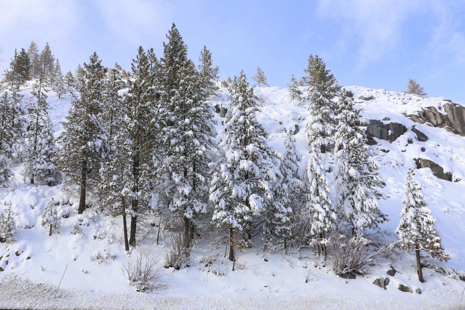 An image depicting the trail Hawk's Peak and Donner Lake Rim Trail and its surrounding area.