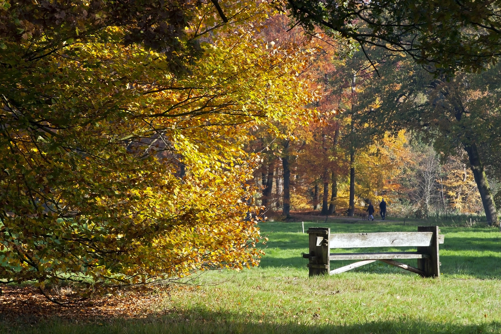An image depicting the trail Deldenerzijde, Burensche Veld and Arboretum Loop and its surrounding area.