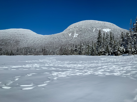 An image depicting the trail Fishin Jimmy Trail via Lonesome Lake Trail and its surrounding area.