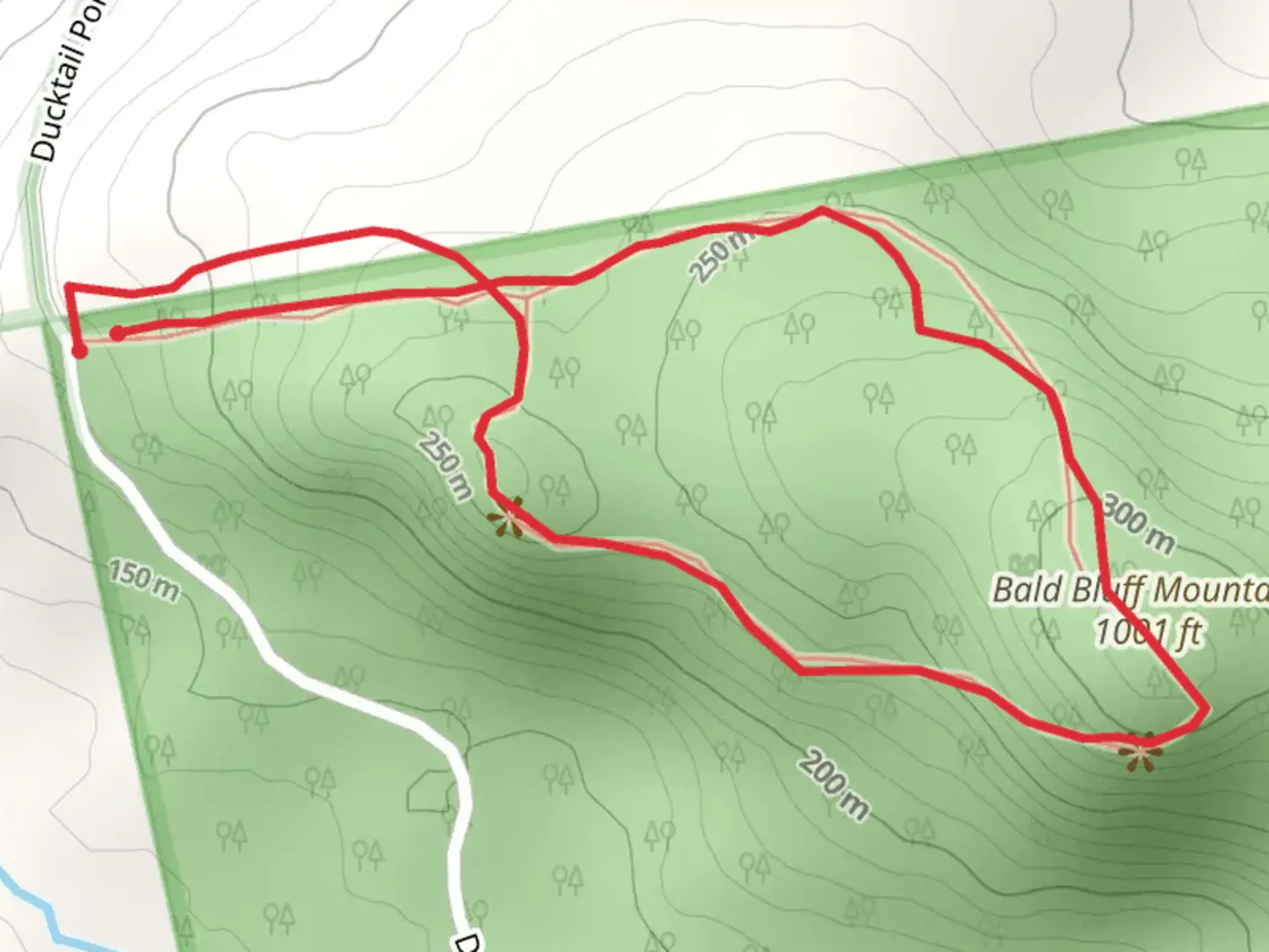 An image depicting the trail Bald Bluff Mountain Loop and its surrounding area.