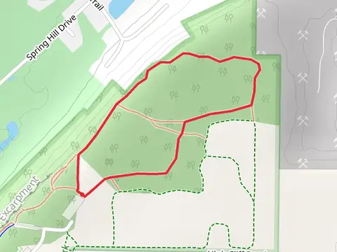 Forest Management Loop Trail