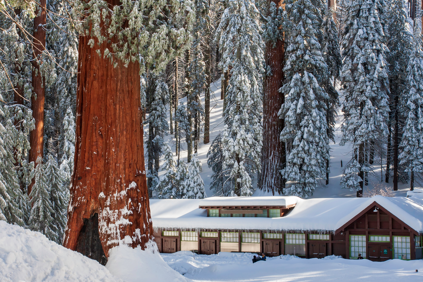 An image depicting the trail Alta, Bear Hill and Moro Rock Loop Trail and its surrounding area.