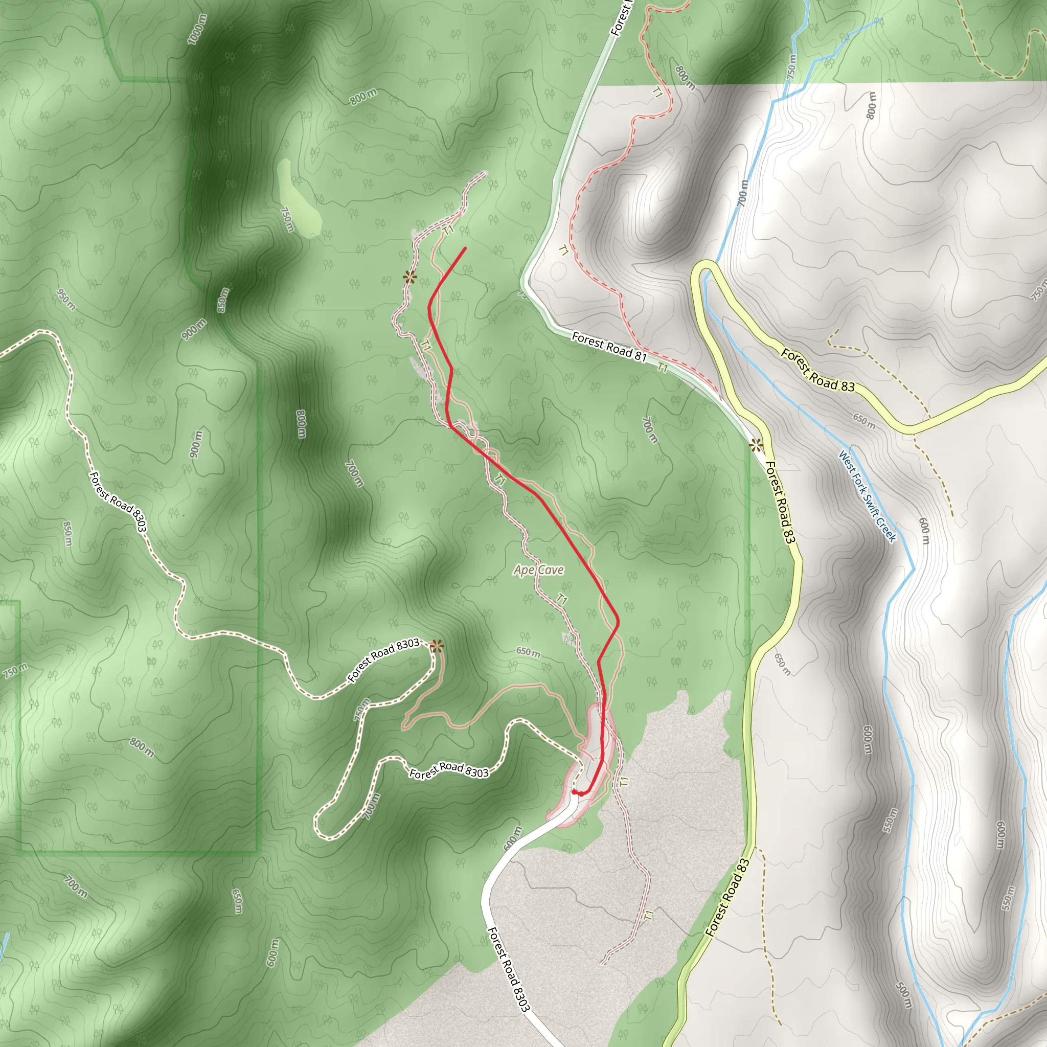 Ape Cave Trail mobile static map