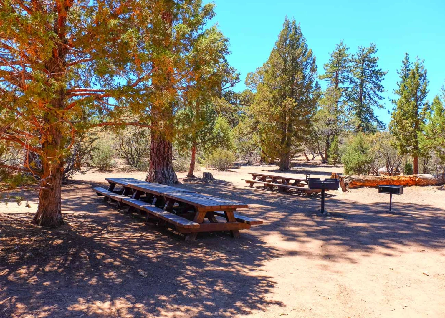 An image depicting the trail Tanglewood Group Campground and The Pinnacles Walk and its surrounding area.