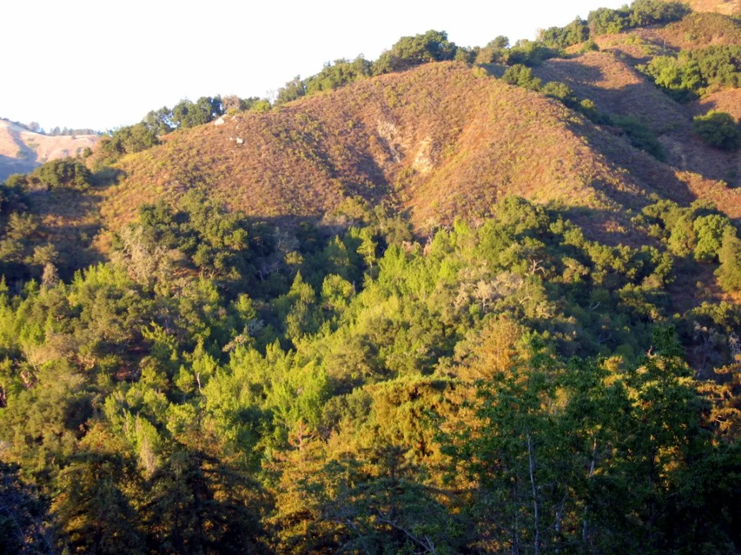 An image depicting the trail Round Rock Camp via Pine Ridge Trail and Carmel River Trail and its surrounding area.