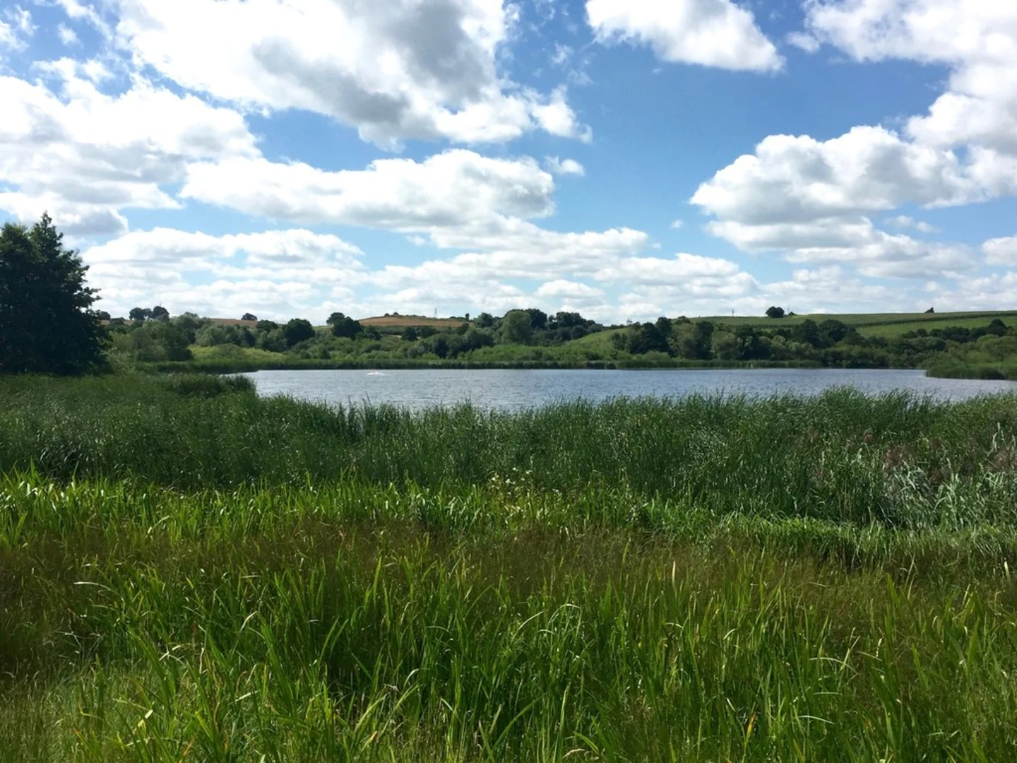 An image depicting the trail Betley Mere and Cracow Moss Loop and its surrounding area.