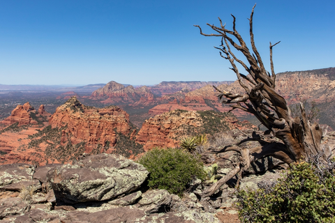 An image depicting the trail Schnebly Hill Trail and its surrounding area.