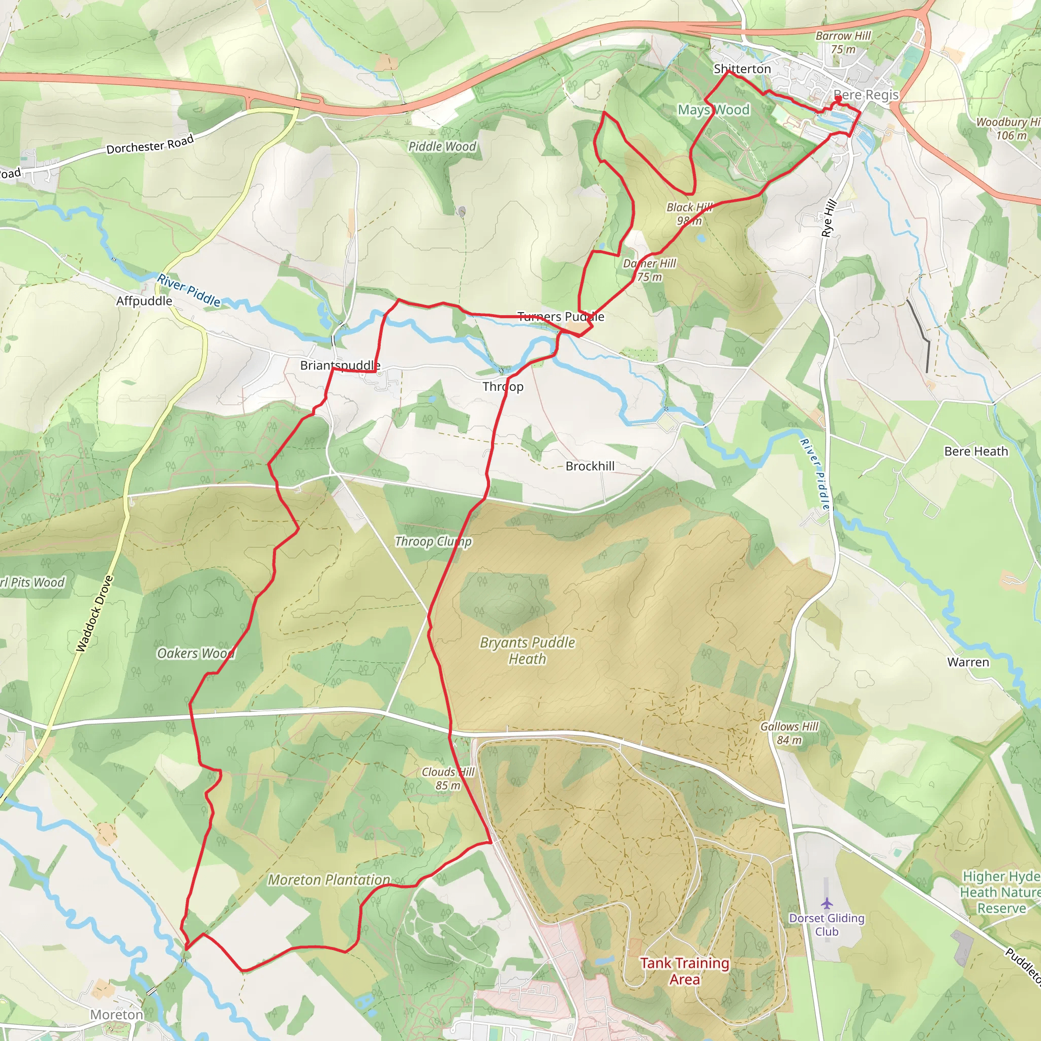 Bere Regis Loop mobile static map