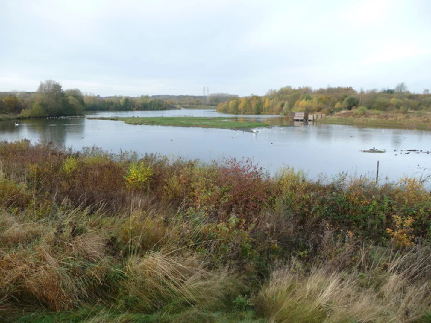 An image depicting the trail Sandwell Valley Country Park Circular Walk and its surrounding area.